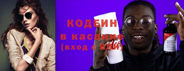 гашик Алексин