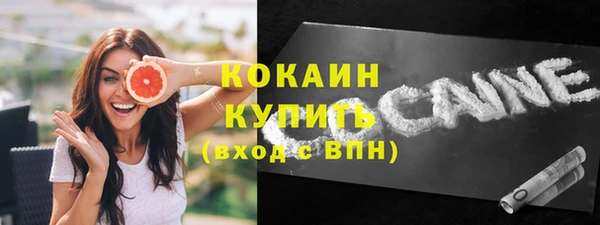 ECSTASY Ельня
