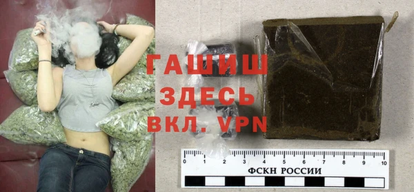 гашик Алексин