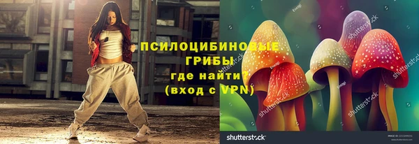 ГАЛЛЮЦИНОГЕННЫЕ ГРИБЫ Алексеевка