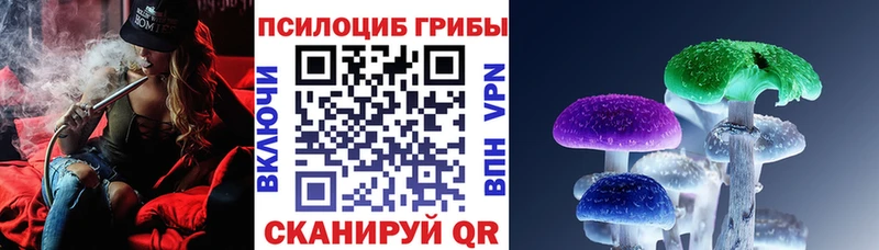 кракен вход  Полярный  Галлюциногенные грибы мицелий 