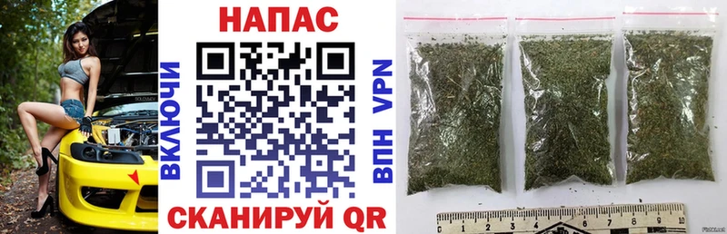 Шишки марихуана Bruce Banner  Полярный 